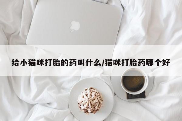 米非米索在线购微信给小猫咪打胎的药叫什么/猫咪打胎药哪个好