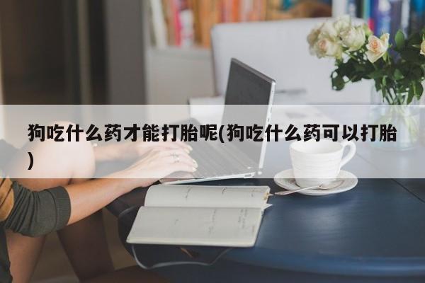 米非米索在线购微信狗吃什么药才能打胎呢(狗吃什么药可以打胎)