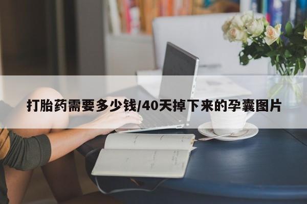 米非米索在线购微信打胎药需要多少钱/40天掉下来的孕囊图片