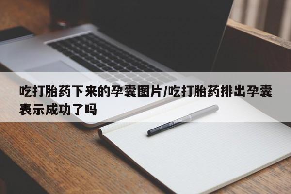 米非米索在线购微信吃打胎药下来的孕囊图片/吃打胎药排出孕囊表示成功了吗
